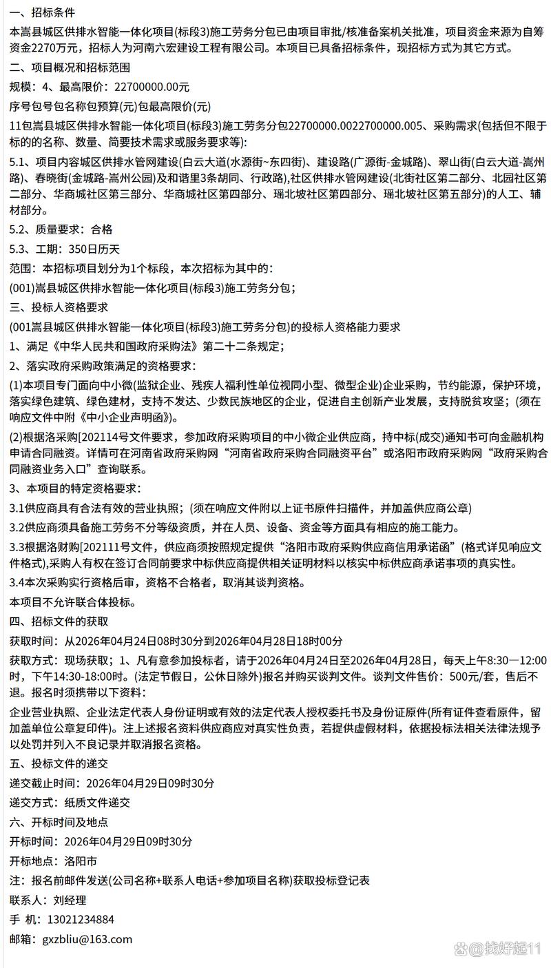 嵩县城区供排水智能一体化项目(标段3)施工劳务分包竞争性谈判公告